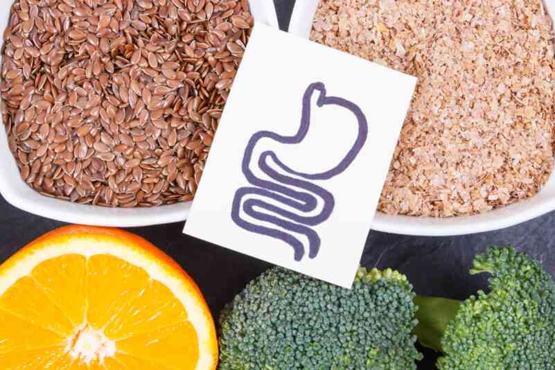 Titelbild Podcast Fiber Gut